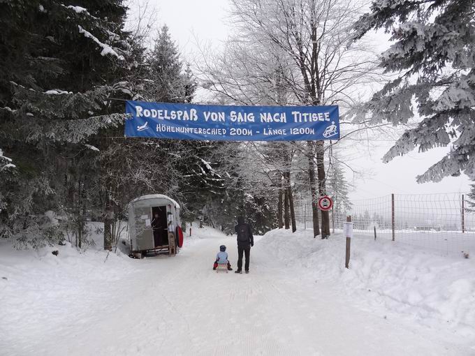 Rodelbahn Saig-Titisee