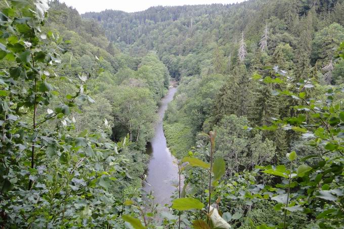 Bachheim: Wutachschlucht