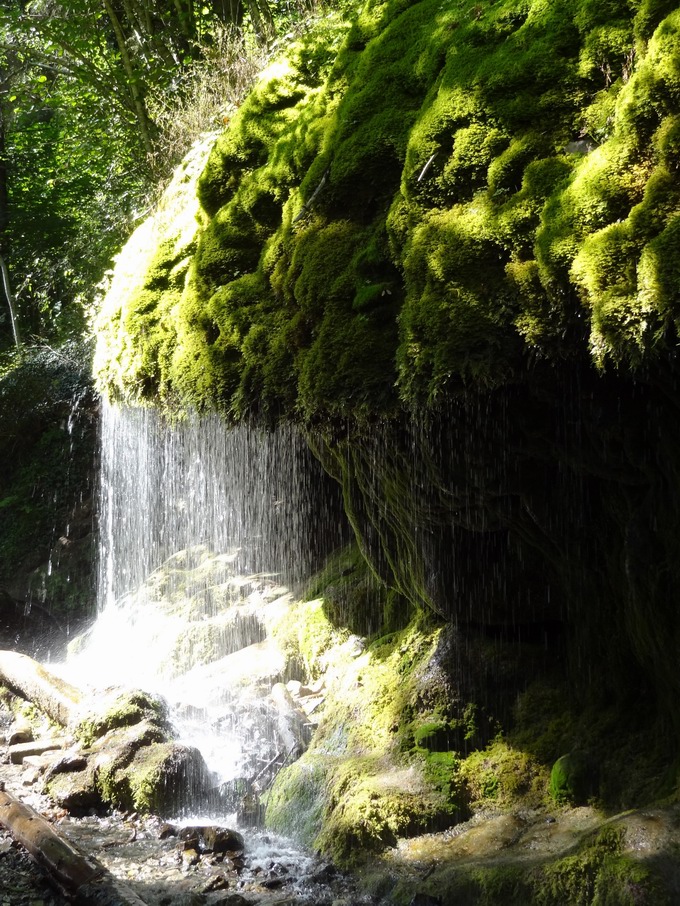 Dietfurter Wasserfall