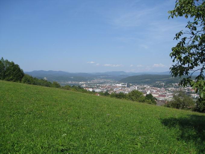 Landschaftsschutzgebiet Tllinger Berg