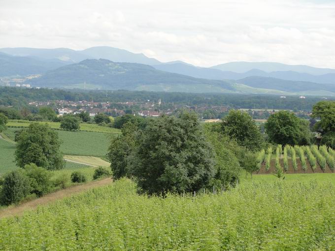 March im Breisgau