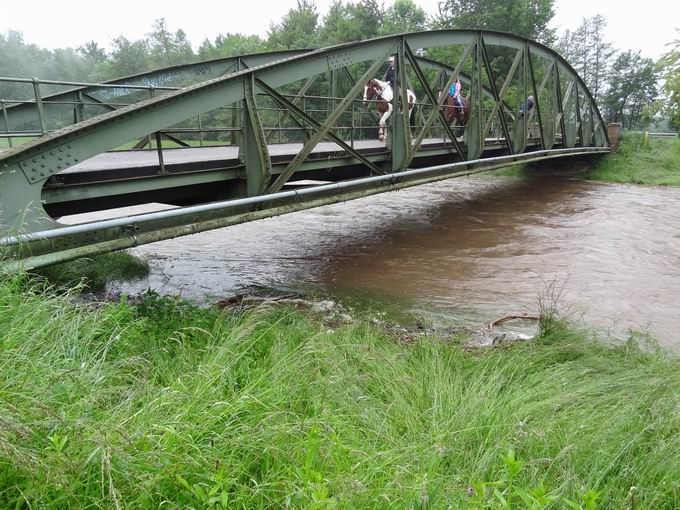 Dreisambrcke Buchheim: Hochwasser