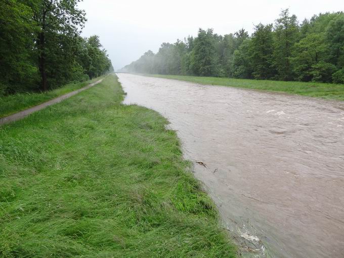 Dreisambrcke Buchheim: Sdblick bei Hochwasser