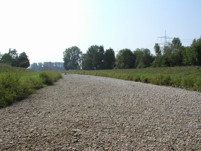 Dreisambrcke Landstrae 116: ausgetrocknetes Flussbett