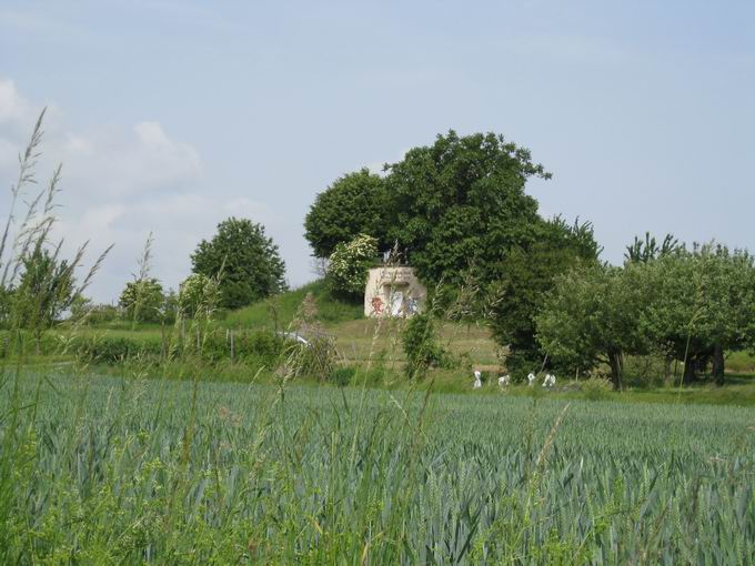 Hochbehlter Bergle Holzhausen