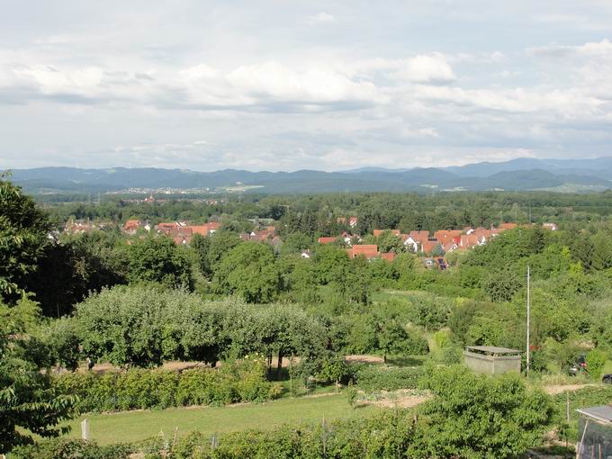 Hochbehlter Bergle Holzhausen: Blick Holzhausen