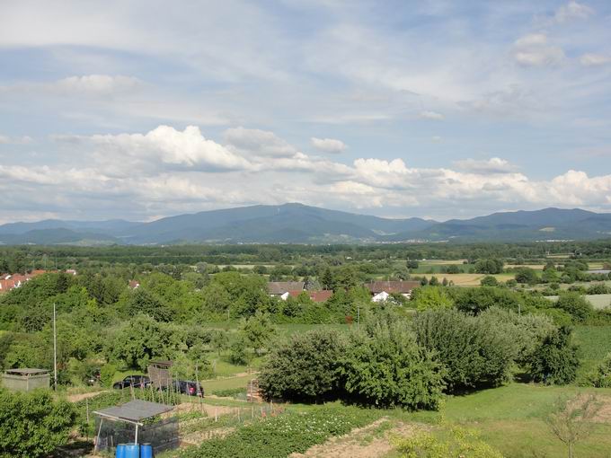 Hochbehlter Bergle Holzhausen: Blick Kandel