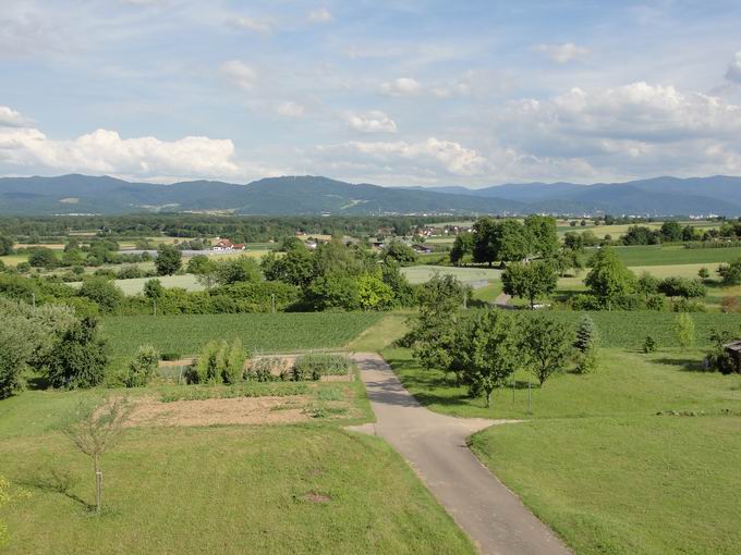 Hochbehlter Bergle Holzhausen: Blick Rosskopf