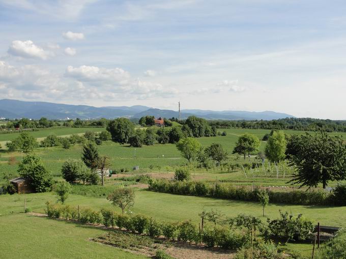 March im Breisgau