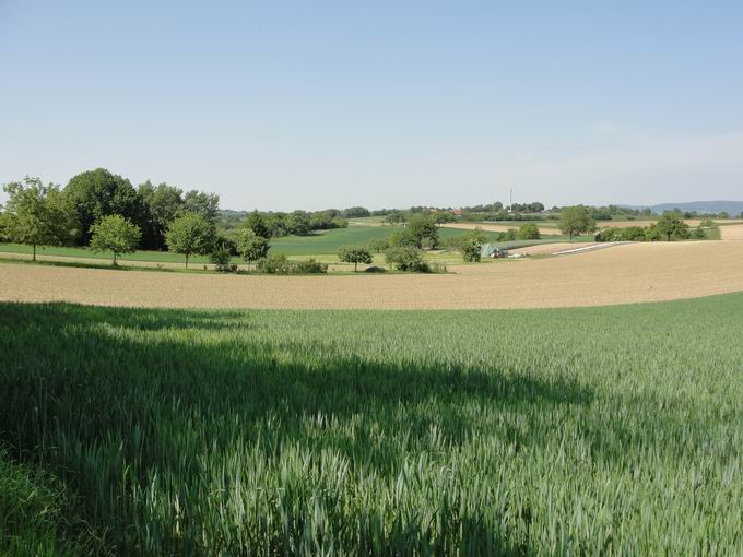 March im Breisgau