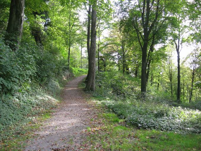 Schlosspark Hugstetten: Pfad zum Teehaus