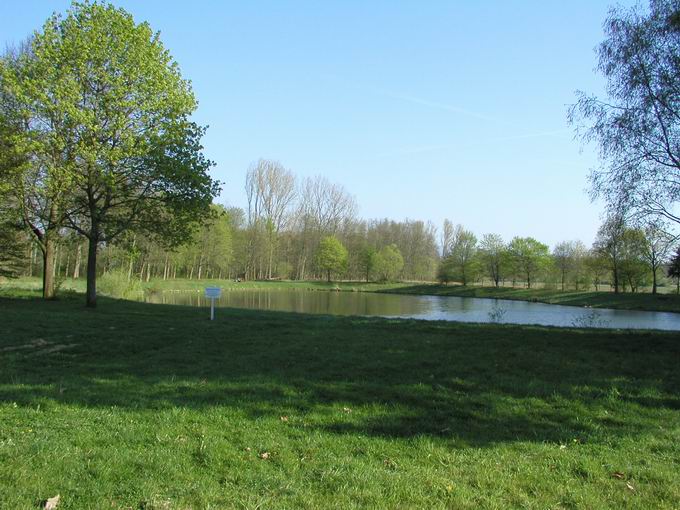 Steinbuckweiher Buchheim