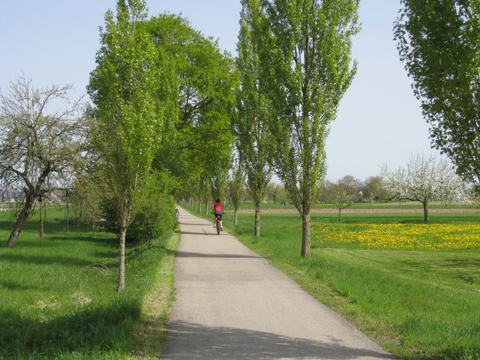 Radweg Entenkpfer