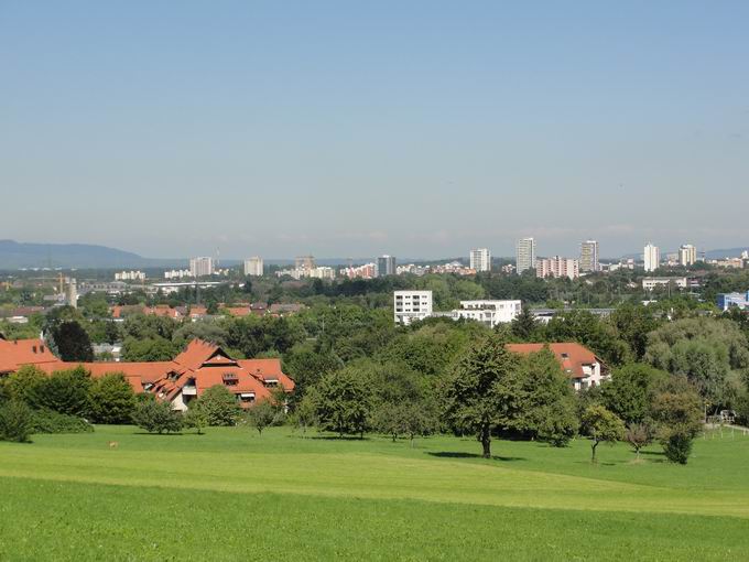 Jesuitenschloss Merzhausen: Blick Weingarten