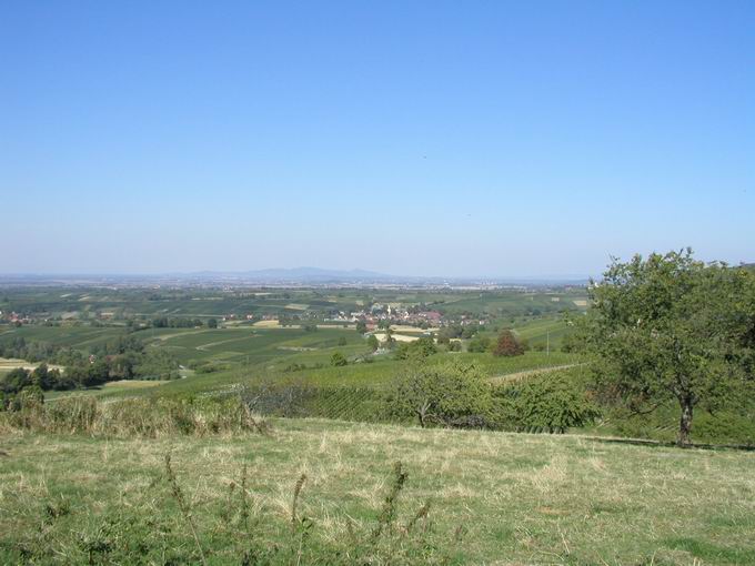 Suseck Britzingen: Blick Laufen