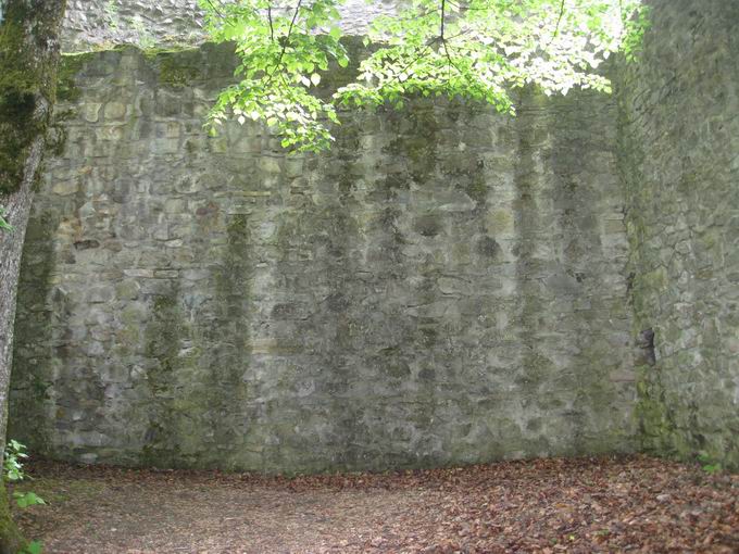 Burg Neuenfels: Ostseite Innenansicht