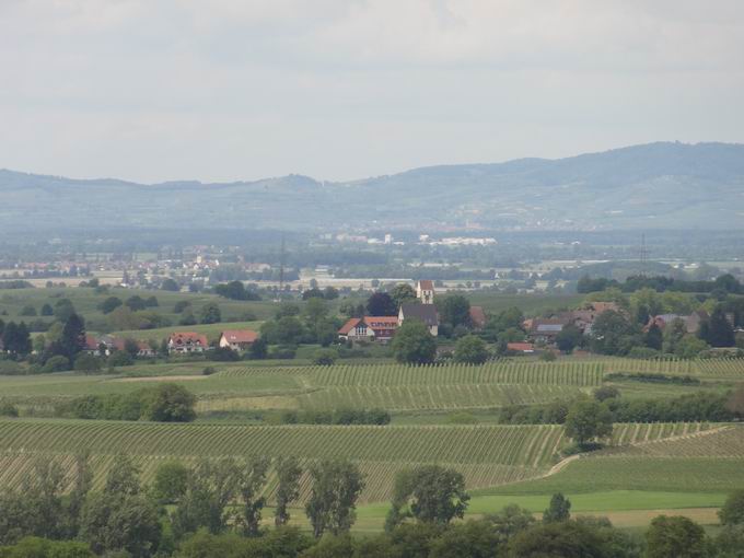 Rosenberg Zunzingen: Blick Betberg