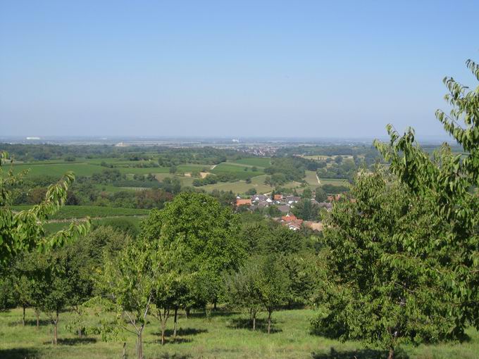 Rosenberg Zunzingen: Lineberg