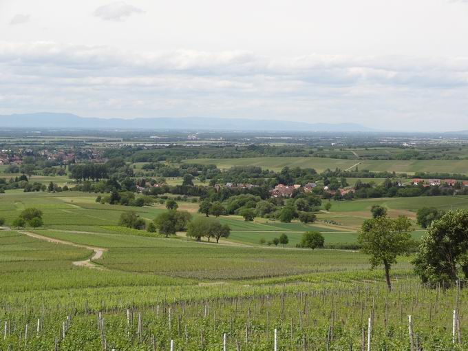 Rosenberg Zunzingen: Markgrflerland