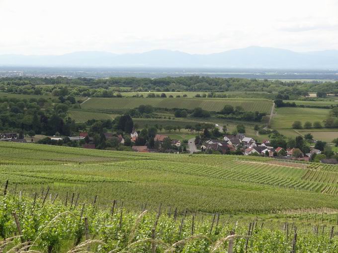 Rosenberg Zunzingen: Blick Zunzingen