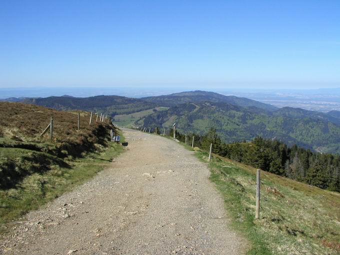 Belchenpfad Belchen Mnstertal