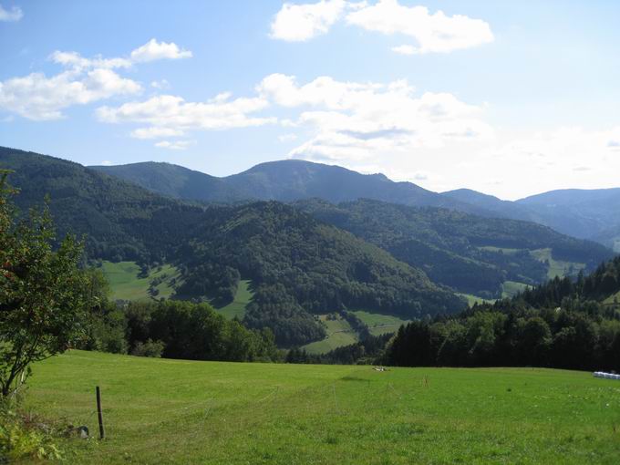 Breitenackerhtte Mnstertal: Blick Belchen