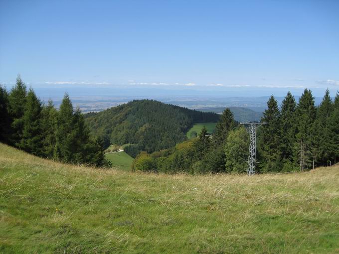 Sonnhaldeberg: Blick Bitterst