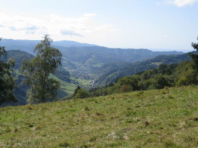 Sonnhaldeberg: Blick Mnstertal