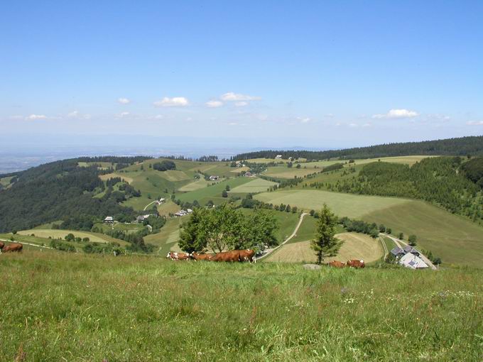 Stohren Mnstertal