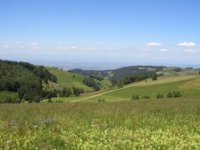 Drehbachtal Stohren