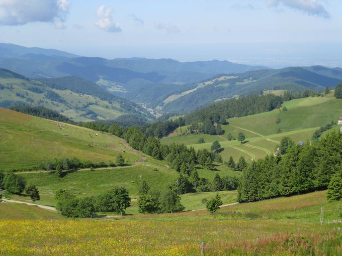 Stohren: Blick Mnstertal