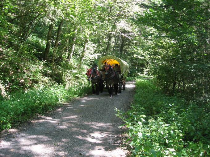 Kutsch- und Planwagenfahrten Murgtal Kutsch- und Planwagenfahrten Murgtal