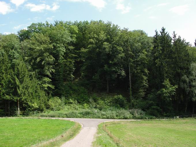 Rheinsberg Berg