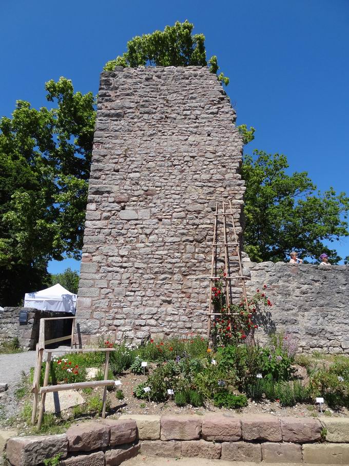 Burggarten Hohennagold Landesgartenschau