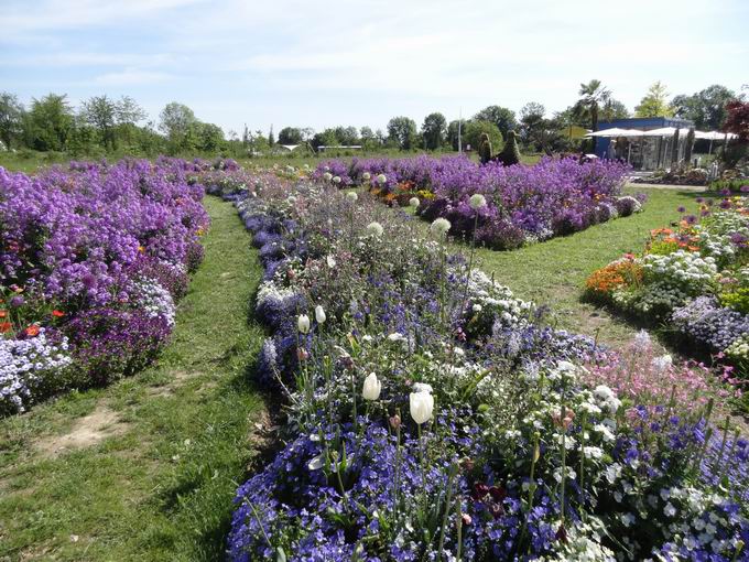 Landesgartenschau Neuenburg: Bltenband