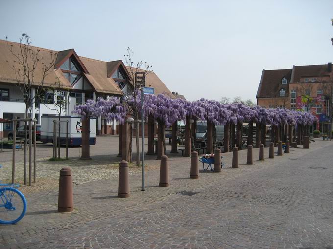 Neuenburg am Rhein