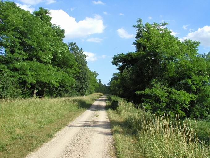 Rheinuferweg Neuenburg