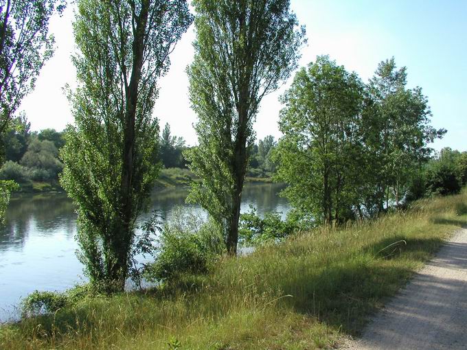 Neuenburg am Rhein