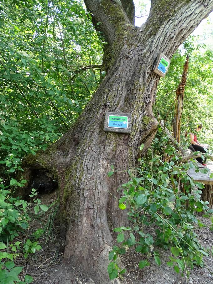 Auen-Wildnispfad Neuried: Hinweisschilder Hochwasser