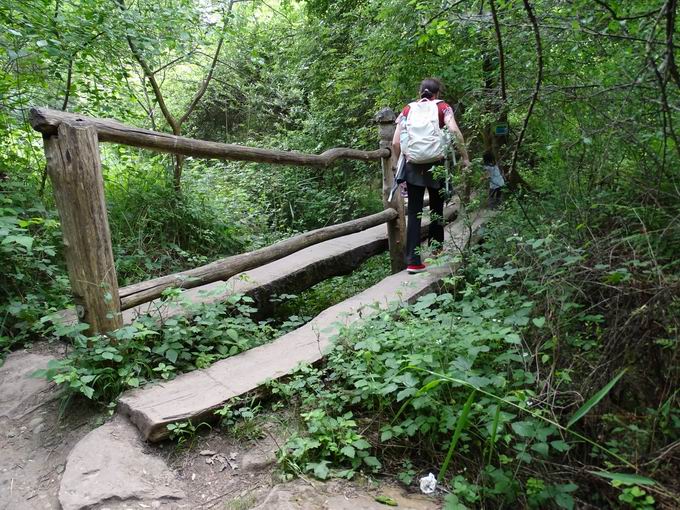 Auen-Wildnispfad Neuried: Holzbrcke