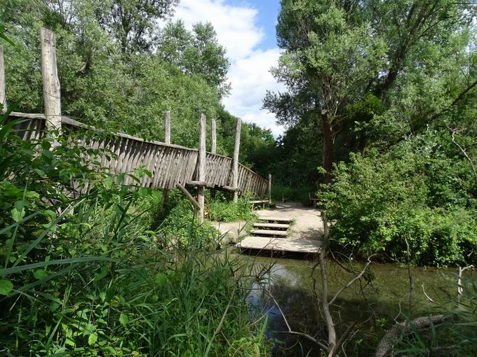 Auen-Wildnispfad Neuried: Ostblick Lehnerrheinbrcke