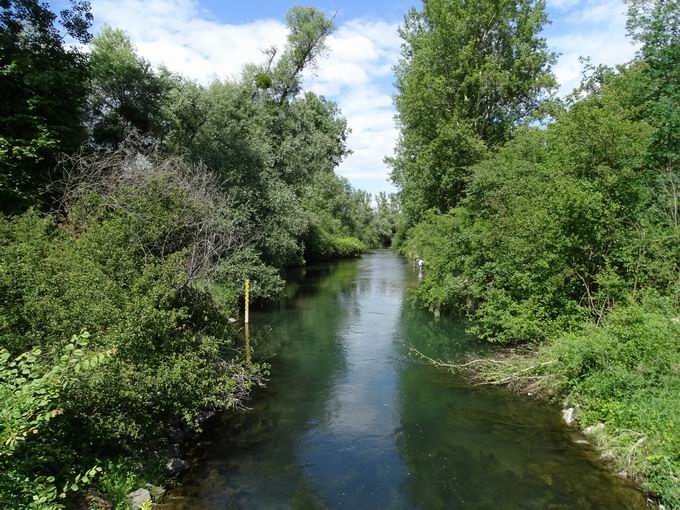 Auen-Wildnispfad Neuried: Altrhein beim Rastplatz