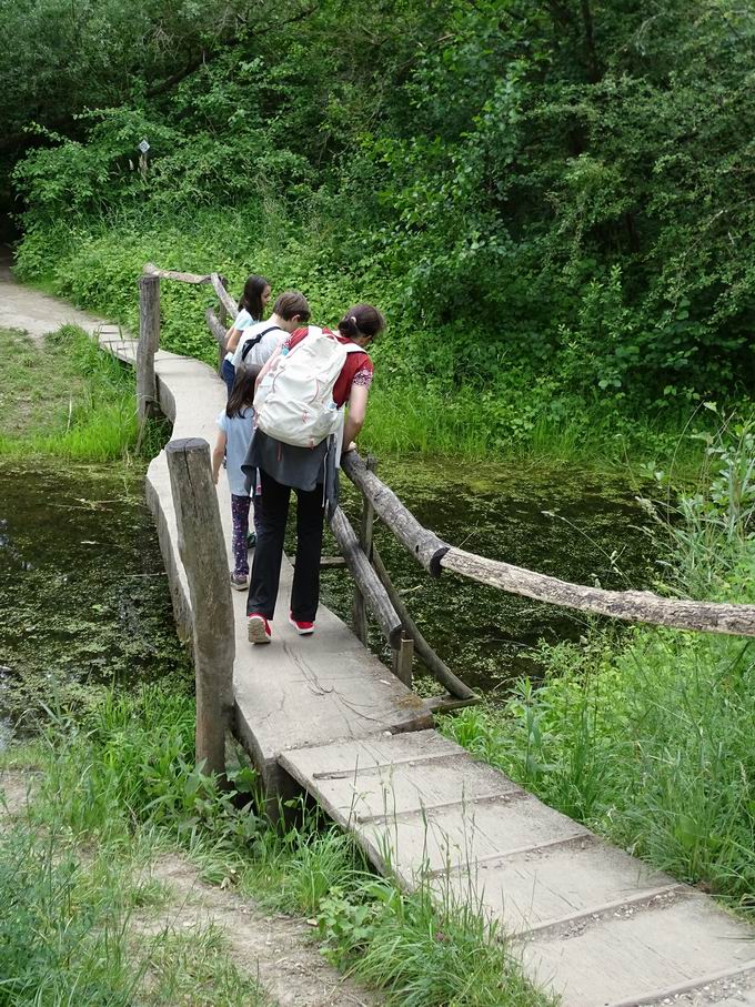 Zugangssteg Auen-Wildnispfad Neuried