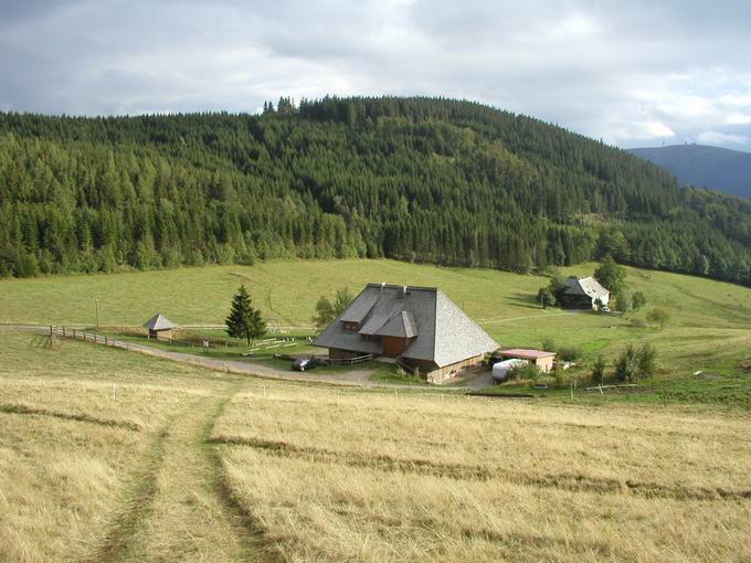 Hinterzarten 