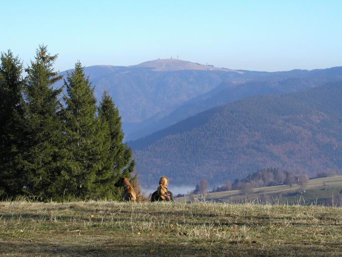 Schauinsland Feldbergblick