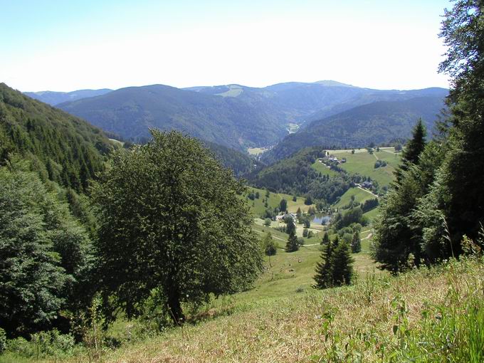 Schauinsland