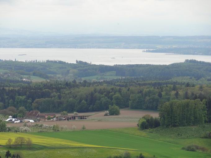 Aussichtsturm Hohenbodman: Bodensee
