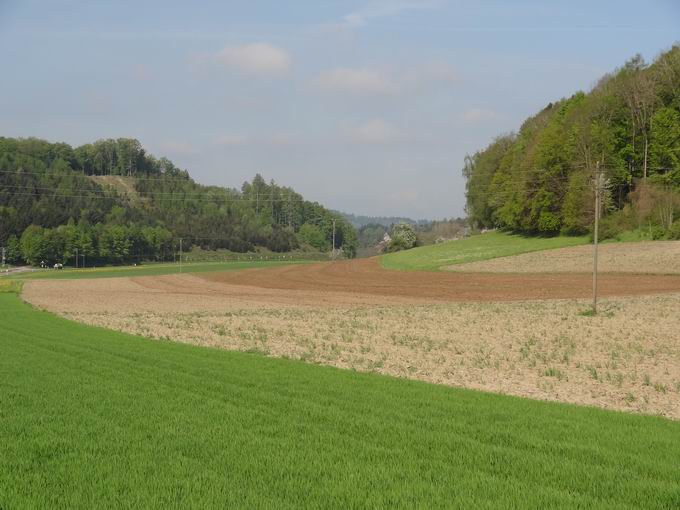 Burghfe Owingen: Landstrae 205