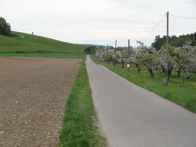 Landwirtschaftsweg Urzenreute