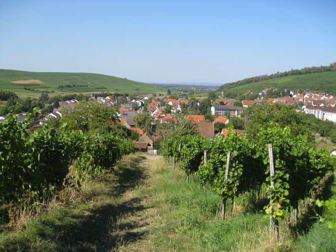 Schnberg im Breisgau